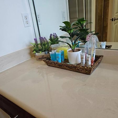 D&N Property Rental Miami Dış mekan fotoğraf