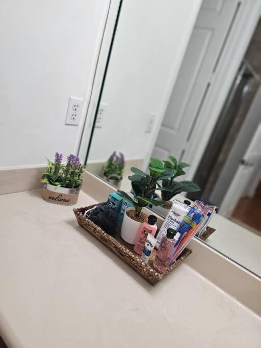 D&N Property Rental Miami Dış mekan fotoğraf