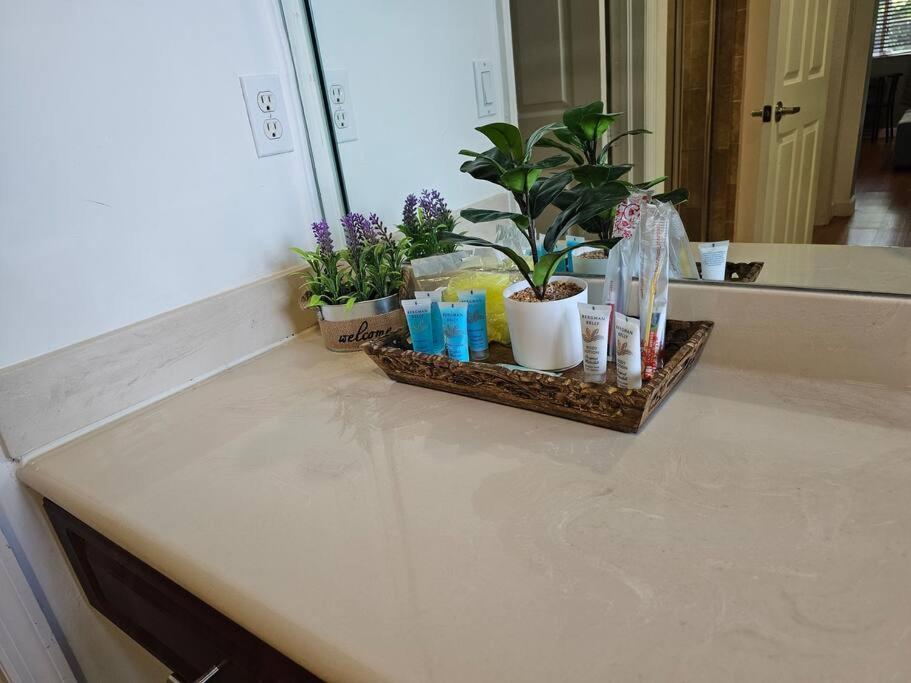 D&N Property Rental Miami Dış mekan fotoğraf